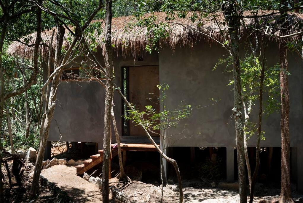 Ojo De árbol, Boutique In The Jungle. Relax Villa