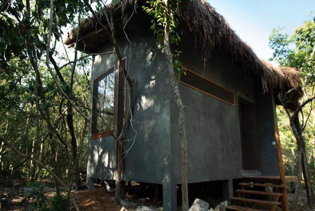 Ojo De árbol, Boutique In The Jungle. Relax Villa Tulum