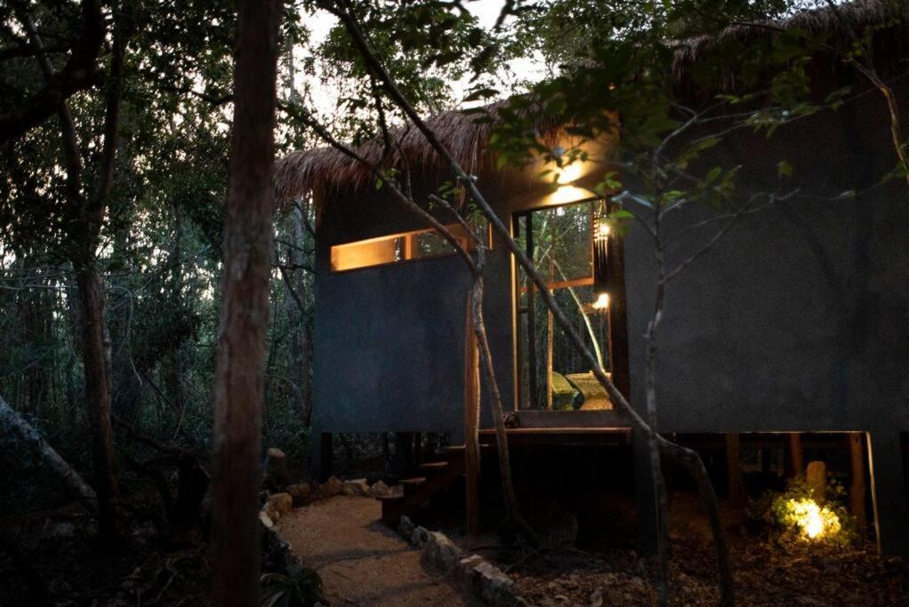 Ojo De árbol, Boutique In The Jungle. Relax * Tulum