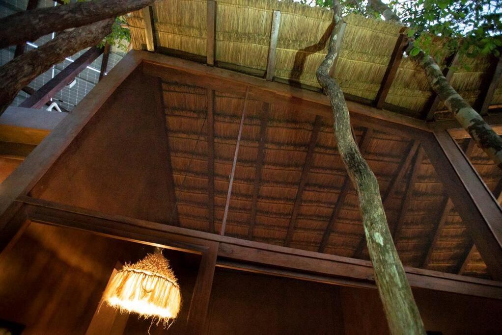 Ojo De árbol, Boutique In The Jungle. Relax
