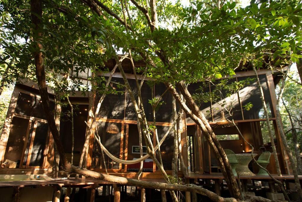 Ojo De árbol, Boutique In The Jungle. Relax Villa Tulum
