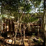 OJO DE ÁRBOL, boutique cabin in the jungle. Relax
