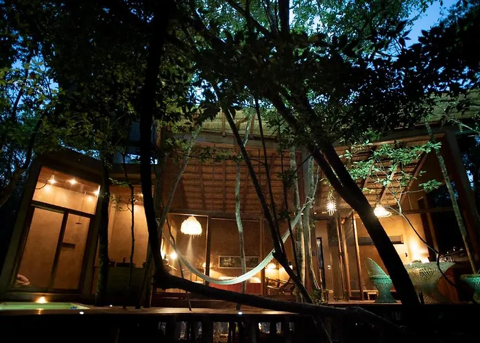 OJO DE ÁRBOL, boutique cabin in the jungle. Relax