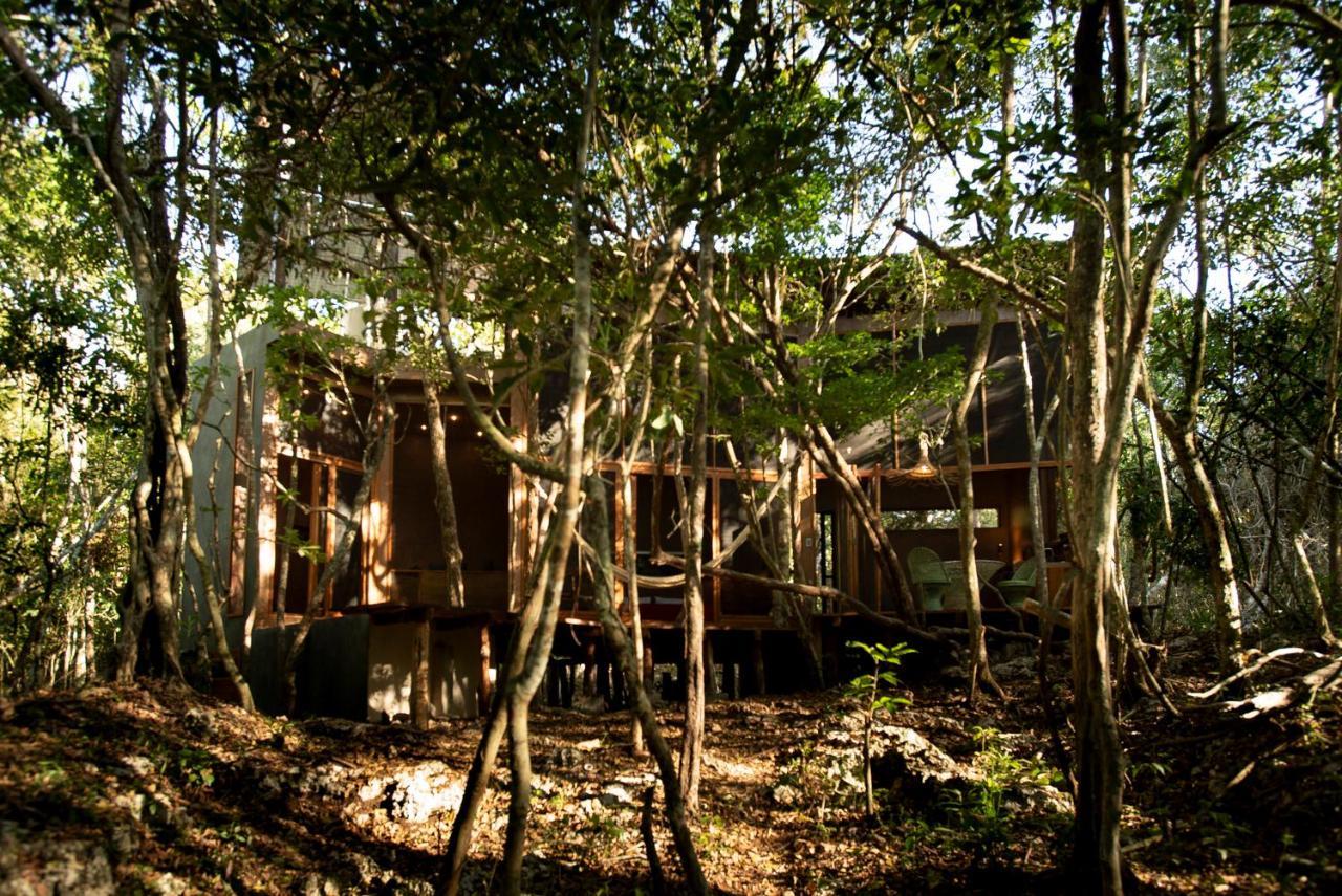 Villa Ojo De árbol, Boutique In The Jungle. Relax *