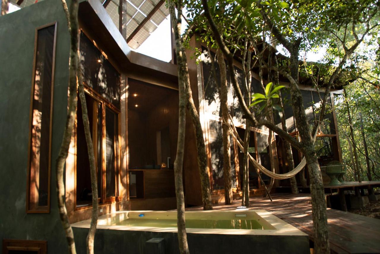 Ojo De árbol, Boutique In The Jungle. Relax Tulum