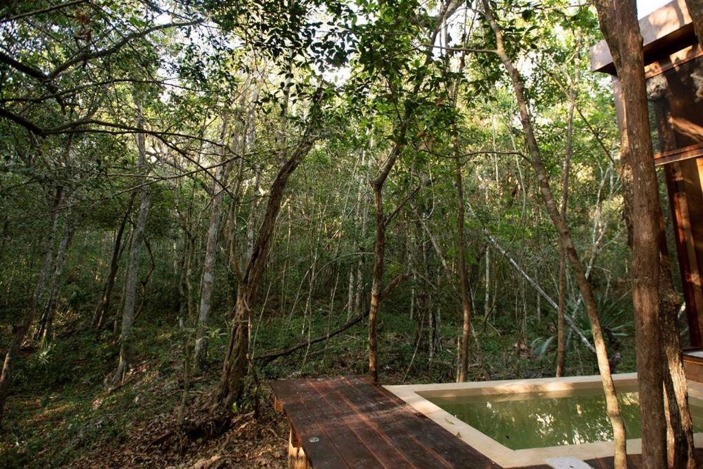 Ojo De árbol, Boutique In The Jungle. Relax