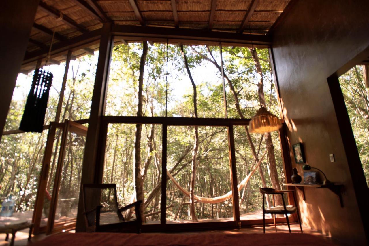 Ojo De árbol, Boutique In The Jungle. Relax Tulum