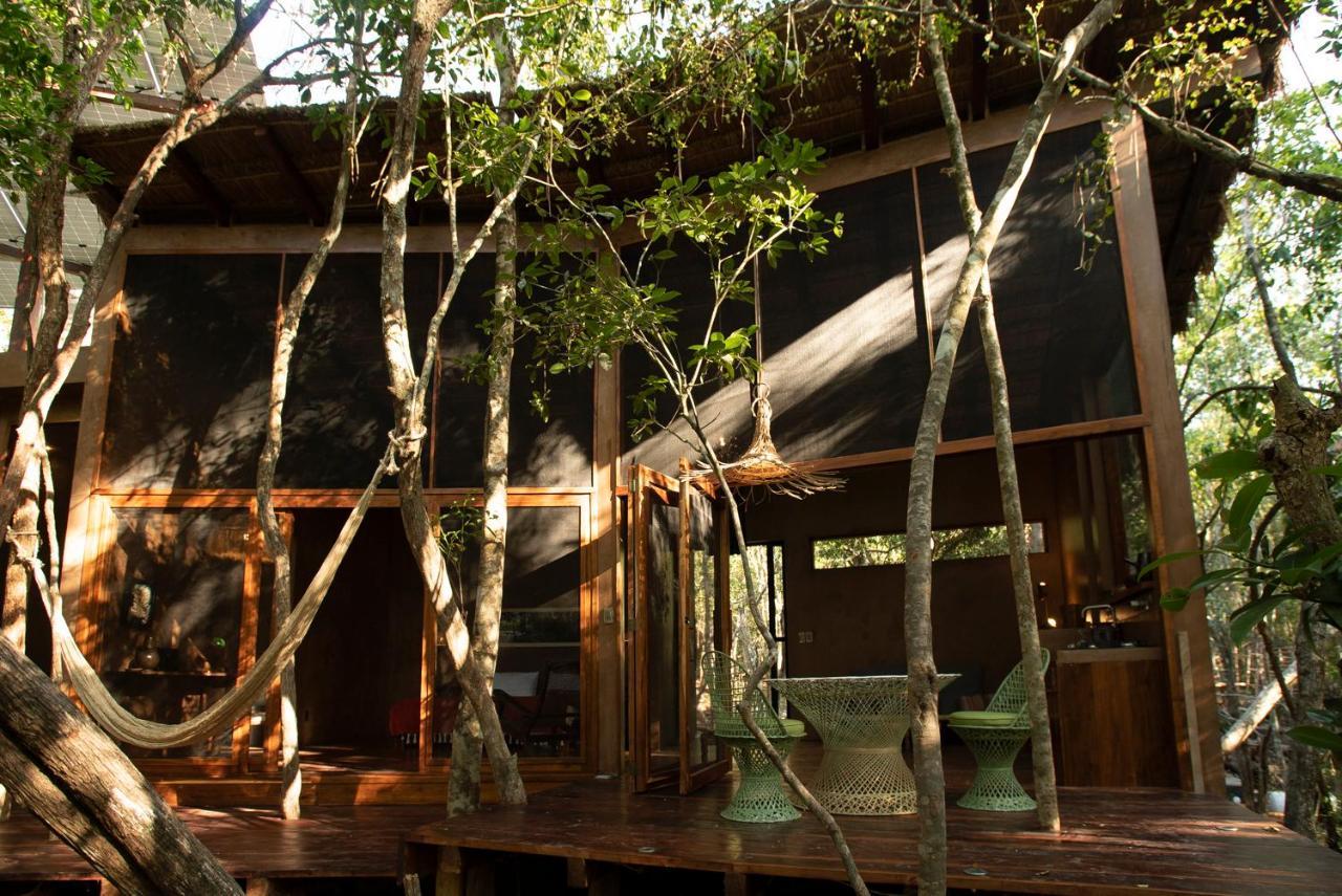 Ojo De árbol, Boutique In The Jungle. Relax Villa