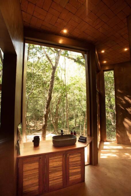 Ojo De árbol, Boutique In The Jungle. Relax