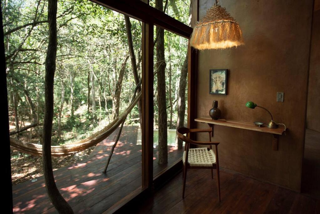 Ojo De árbol, Boutique In The Jungle. Relax