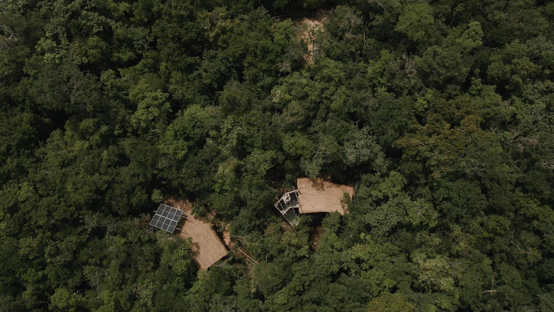 Villa Ojo De árbol, Boutique In The Jungle. Relax